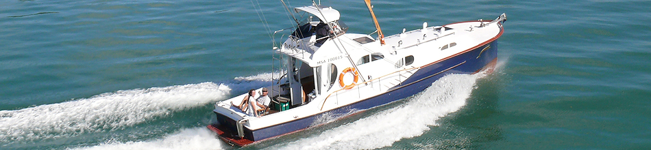 alma g cruising the bay of islands