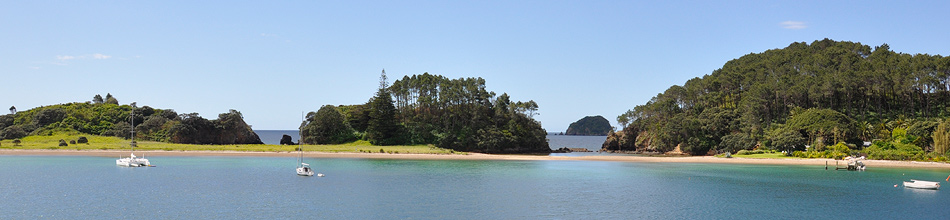 exclusive luxury day cruise around the bay of islands